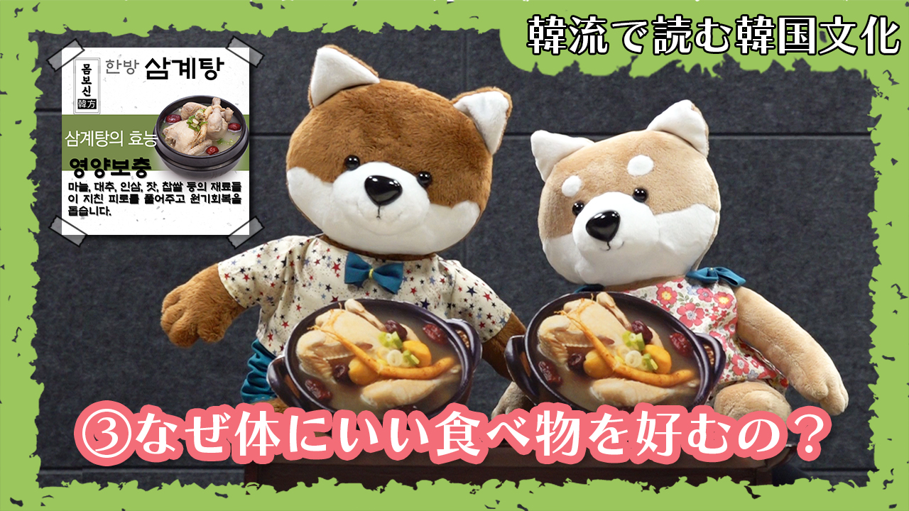 韓流で読む韓国文化③なぜ体にいい食べ物を好むの？